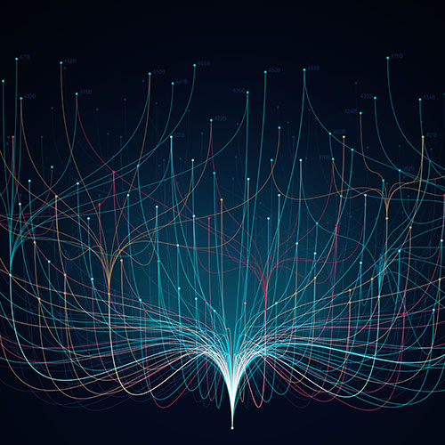 Peacock LIke Colors Illustration